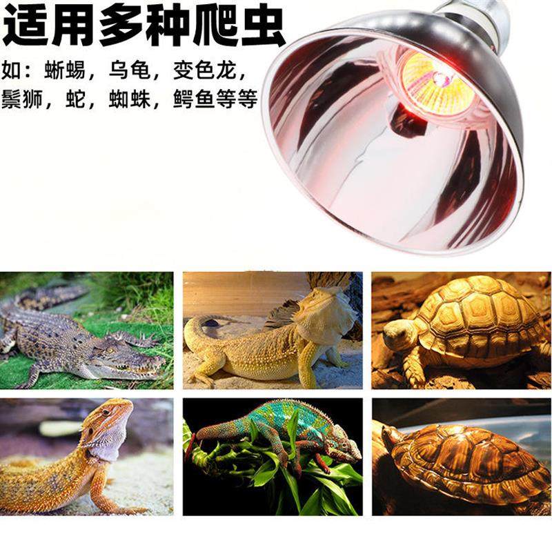 定时款太阳灯UVA UVB陶瓷爬虫箱蜥蜴陆龟7.2寸8.5寸5.5寸爬宠爆款,宠物/宠物食品及用品,更多日用品,淘宝优惠券,粉丝福利购,淘宝优惠卷