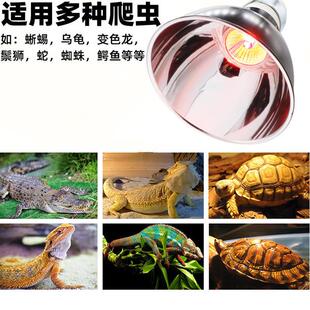 定时款太阳灯UVA UVB陶瓷爬虫箱蜥蜴陆龟7.2寸8.5寸5.5寸爬宠爆款