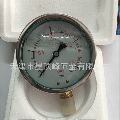 厂家直销ytn-100耐震压力表