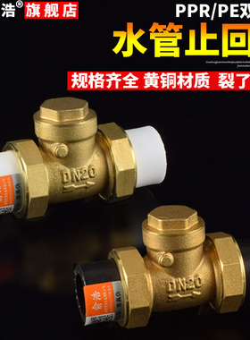PPR水管止回阀PE双活接单向阀自来水管水表逆止阀铜卧式立式4分20