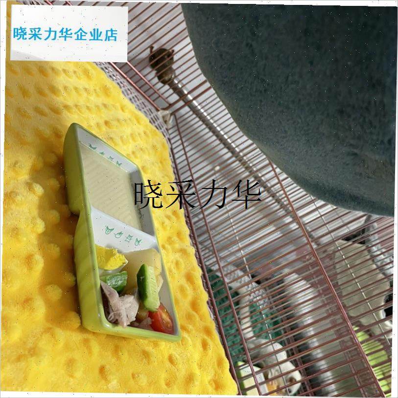 宠物蜜袋鼯小奶瓶玻璃小蜜的奶瓶专用G喂食器新手套餐奶瓶刷小碗l