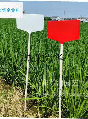大面插地牌塑料自由组合园艺植物提示插牌M农场田间试验牌花卉标l