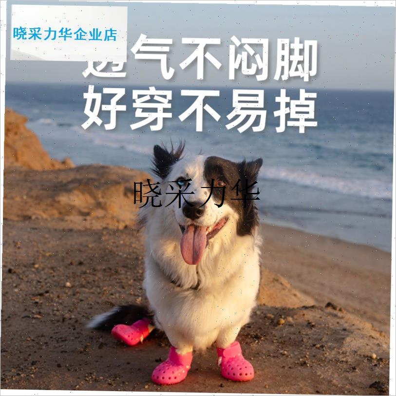美*wa*狗狗鞋子硅胶洞洞雨鞋隔热宠物M全包防掉脚套犬防脏透气l