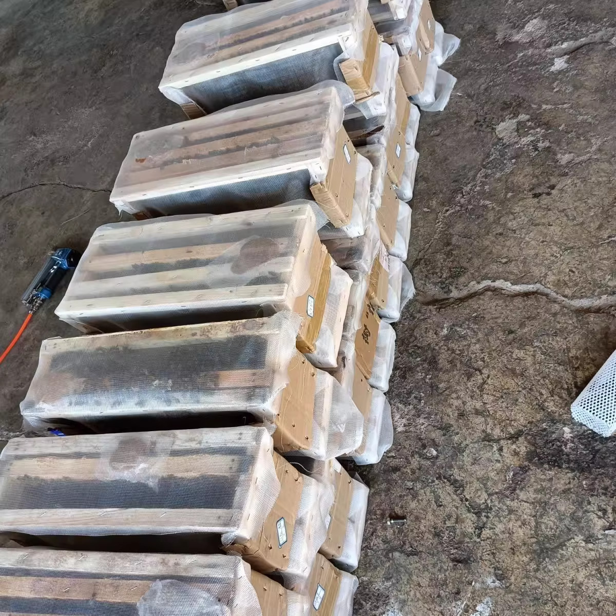 意蜂场笼蜂意蜂蜂群出售产王包活蜂疗授粉蜂群意大利蜜蜂包活到手,农用物资,授粉蜂,淘宝优惠券,粉丝福利购,淘宝优惠卷