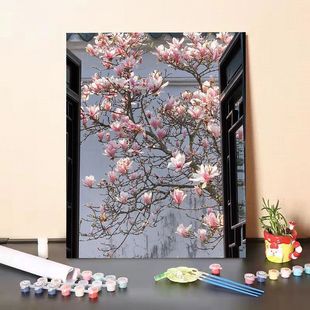 玉兰花diy数字油画填充油彩画手工填色丙烯画减压夏日客厅装饰画