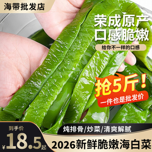 海白菜新鲜5斤盐渍裙带梗段商用半干货整箱海带非即食嫩海藻咸菜