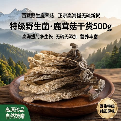 500g西藏野生鹿茸菇野生菌干货