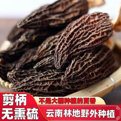 云南羊肚菌头茬无硫25年新品500g