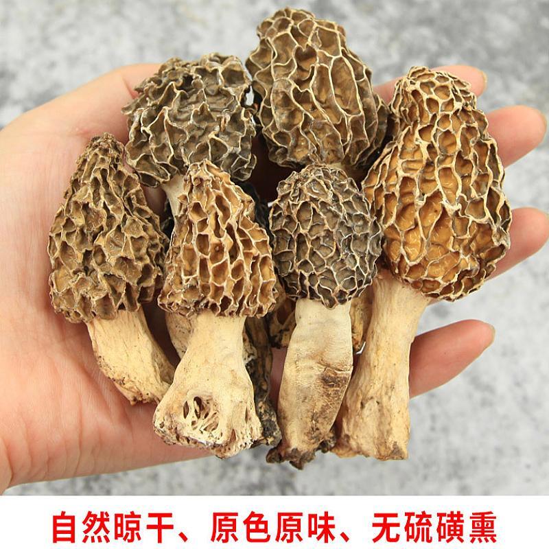 西藏野生羊肚菌干货26年新货西藏特产羊肚菇特级500g全剪柄礼盒装