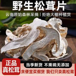 25年新野生松茸干片500g正宗云南松茸菌干货松茸干片野生菌礼盒装