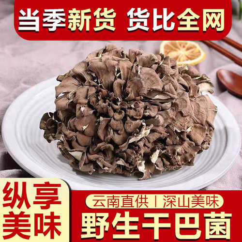 云南野生干巴菌干货特产正宗农家野采特级野生菌野生灰树花舞茸
