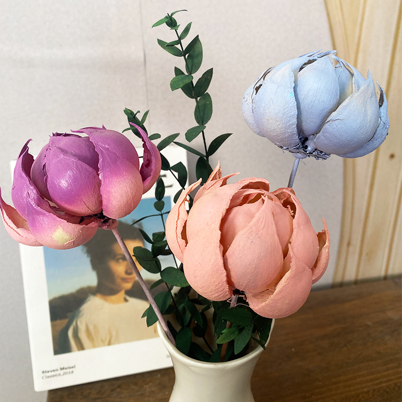 宝莲灯手工植物永生花干花客厅玄关卧室装饰摆放精致高级感