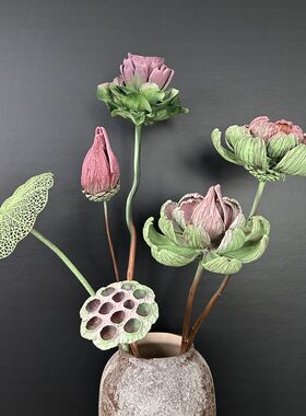 彩色油画果莲现代客厅样板房干花