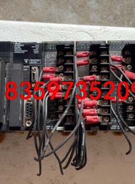 PD025/cJ1MCPU13/OC211/有2⃣️个，ID议价