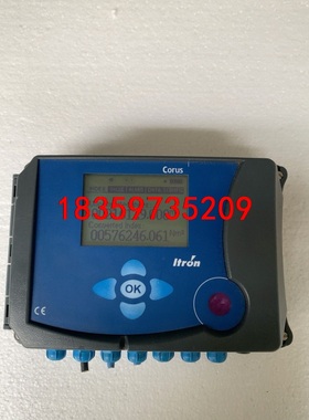 德国埃创ITRON 流量计CORUS校正仪修正仪温度压力变送议价