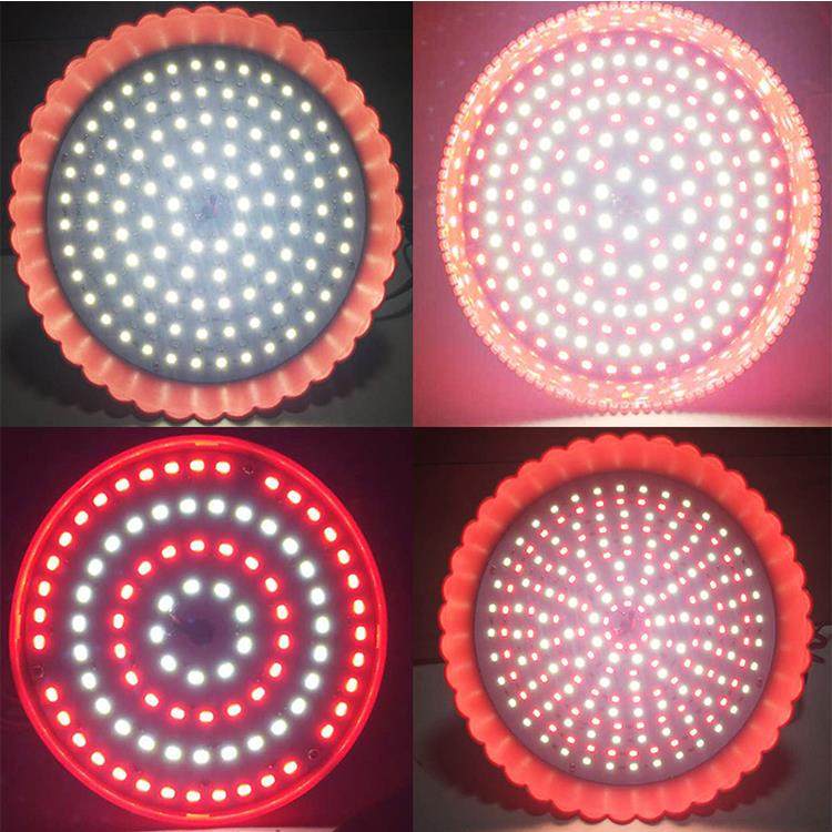 热销12V24V48V电瓶电动三轮车专用夜市摆摊led地摊水果熟食卤菜照,家装灯饰光源,LED球泡灯,淘宝优惠券,粉丝福利购,淘宝优惠卷