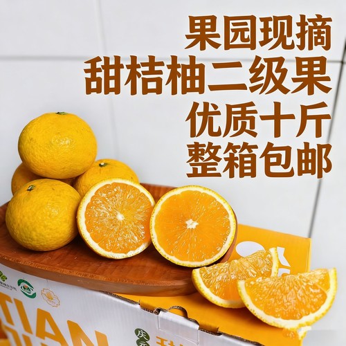 果园直供甜桔柚二级果 皮薄肉厚多汁 当季鲜果高维C 坏果包赔包邮