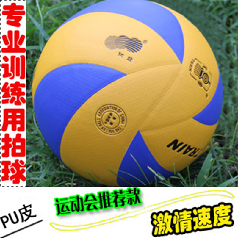 Ballon de volley-ball - Ref 2015506 Image 1