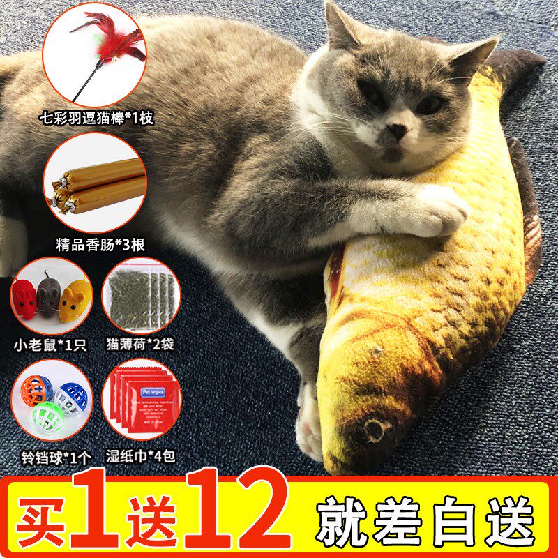 给猫玩的玩具仿真自嗨薄荷鱼猫咪喜欢的宠物猫用品逗猫玩具幼猫玩在类目 宠物/宠物食品及用品, 猫/狗玩具, 逗猫棒中 - 来自Buy2taobao.com提供专业的淘宝代购服务