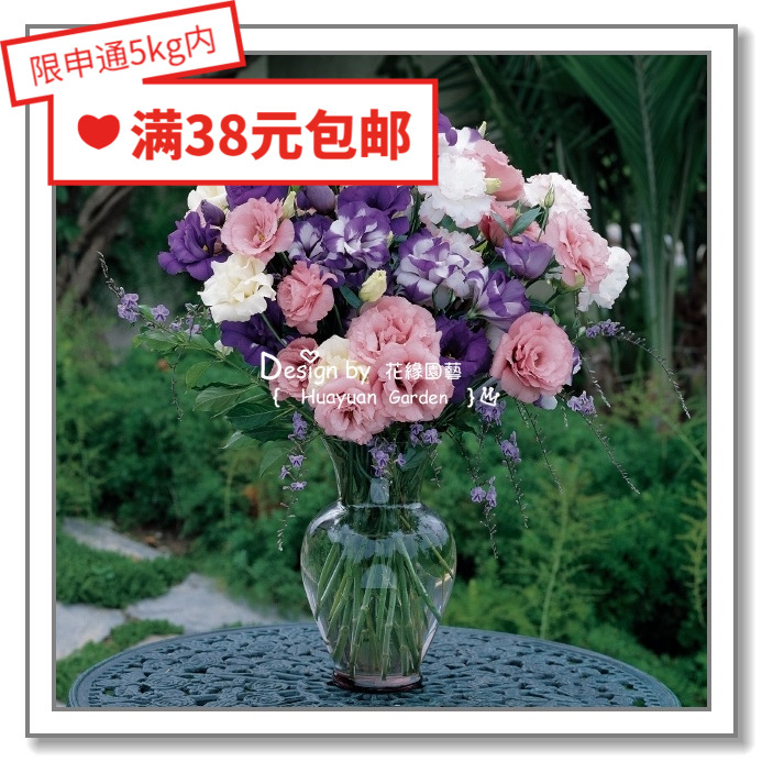 进口重瓣洋桔梗花缘咸菜