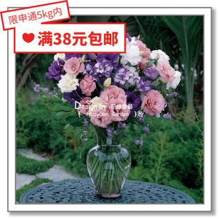 花缘咸菜 进口观赏花种子*泛美*重瓣切花洋桔梗*ABC10粒丸化