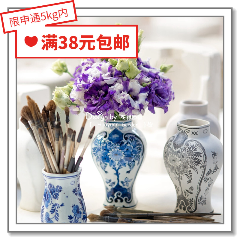 洋桔梗柯瑞丽系列5粒花缘咸菜