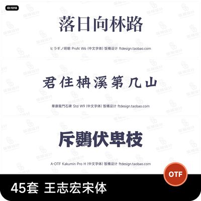 45套 王志宏优雅简约古典复古宋体设计师字体安装包素材