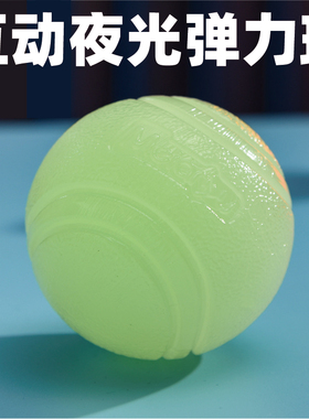 宠物耐咬浮水球实心TPR弹力球训狗球训犬球狗啃咬球狗狗夜光球款