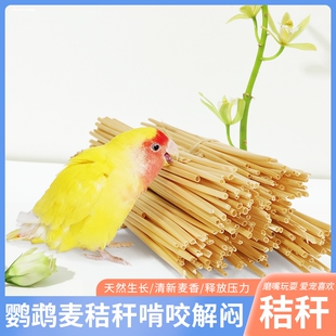 鹦鹉天麦秆啃咬玩具麦秸秆磨牙磨爪解闷自嗨训练插尾巴自嗨牡丹