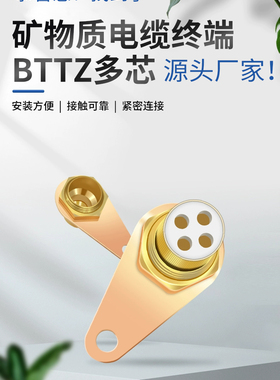 BTTRZ矿物质电缆终端头RTTZ接头终端卡子铜单芯接地YTTW铜鼻国标