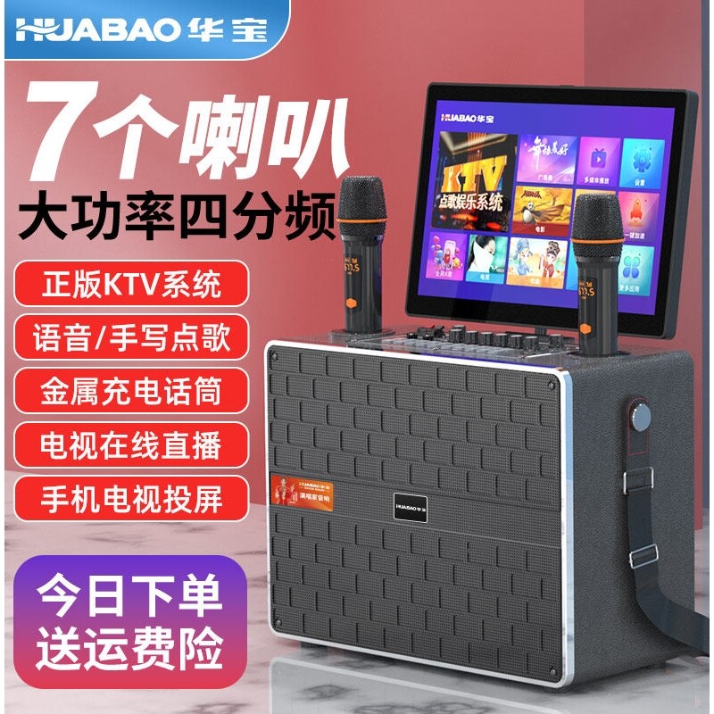 华宝T11广场舞音响带显示屏户外K