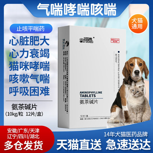 爱纳它氨茶碱片改善肠气喘