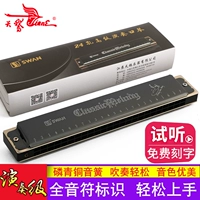 Swan Harmonica 24 lỗ đa âm C chuyên nghiệp chơi người lớn ABDEFG giai điệu cho người mới bắt đầu học sinh nhạc cụ - Nhạc cụ phương Tây kèn saxophone điện tử