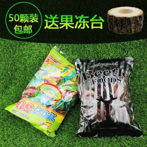 甲虫果冻昆虫食物独角仙成虫饲料