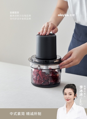 德国进口立时绞肉机家用电动小型