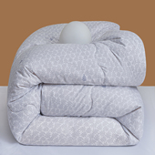 10斤棉被冬被加厚保暖被芯单双人太空被冬季 大豆纤维被春秋被子