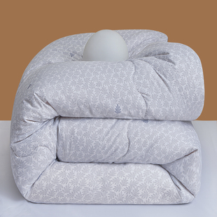 大豆纤维被春秋被子 10斤棉被冬被加厚保暖被芯单双人太空被冬季