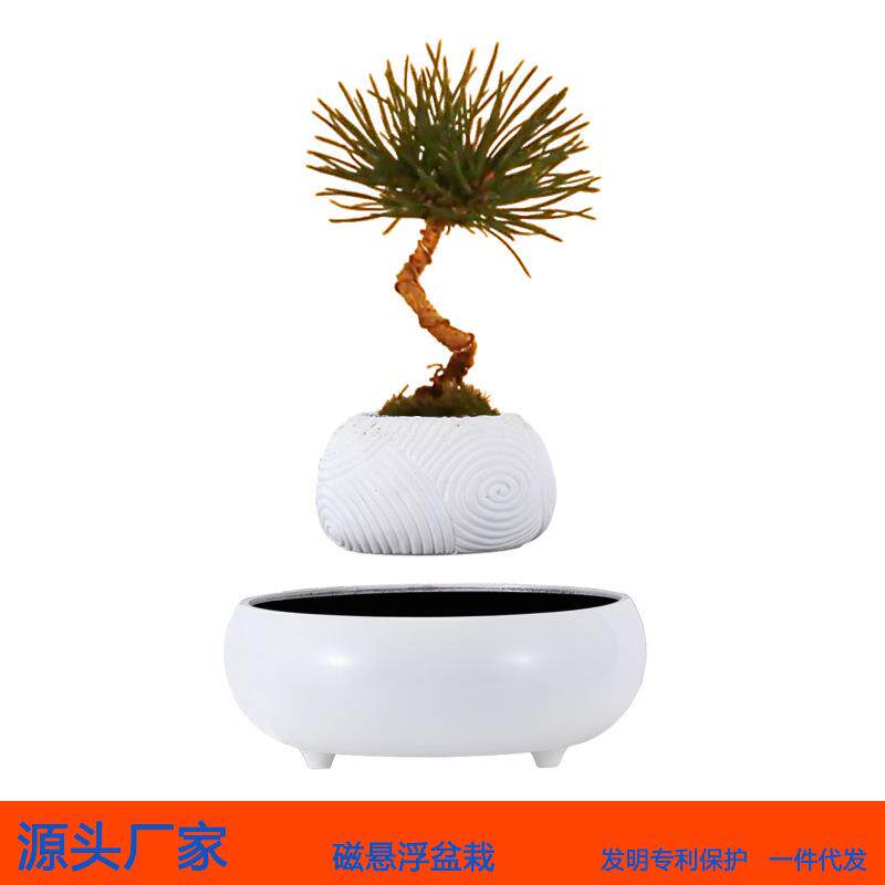 磁悬浮盆栽花盆空中植物悬空客厅办公室桌面风水创意摆件文竹