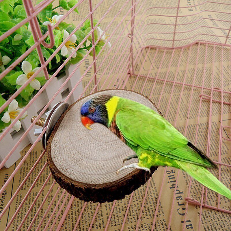 Round Wooden Coin Parrot Bird hamster Cage Perches Stand Pla|msdalam kategori Aksesori Digital 3C, pasaran komponen elektronik, komponen elektronik, gegelung - dari Buy2taobao.com untuk memberikan perkhidmatan ejen Taobao profesional membeli
