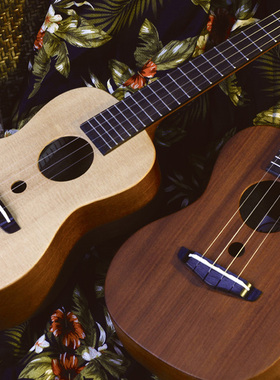 Rainie 小雨 23寸 尤克里里  大玩家 C-01/C-02 初学者单板乌克里