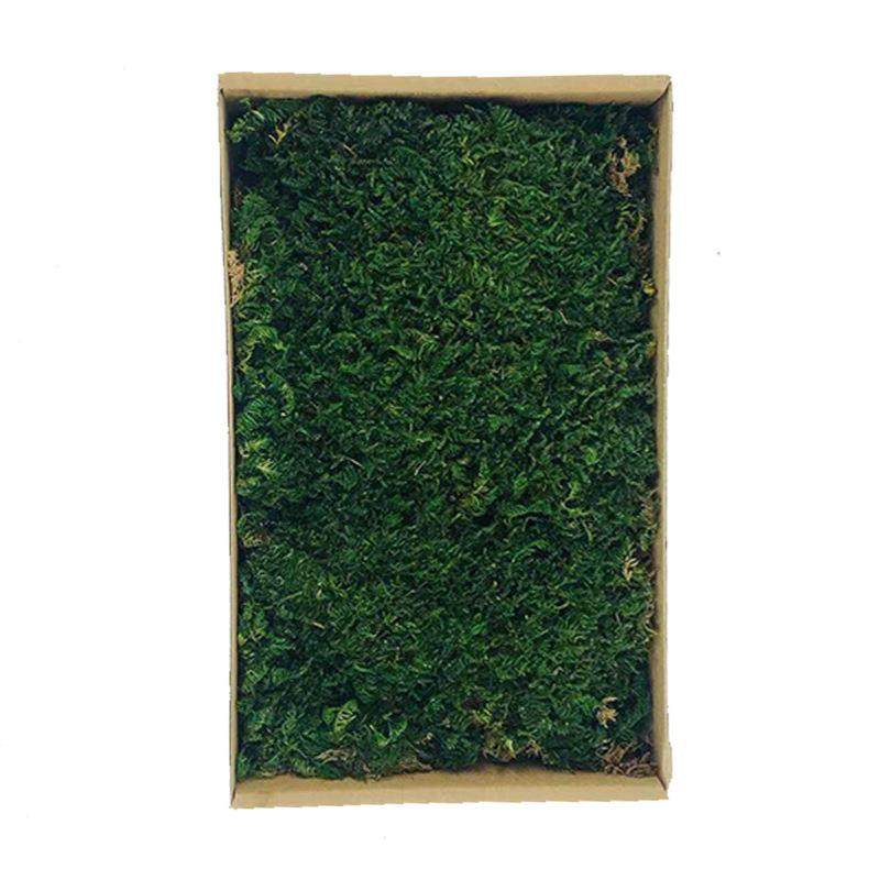 大灰藓新款永生苔藓植被藓仿真植物墙背景墙苔藓墙永生花材假苔藓,家居饰品,餐桌花艺,淘宝优惠券,粉丝福利购,淘宝优惠卷