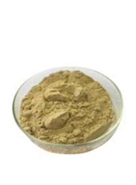 食品级富锌酵母20000ppm营养强化剂酵母锌富锌酵母