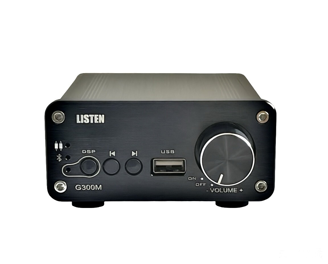 雷声氮化镓DSP蓝牙6.0功放纯数字单声道300W汽车摩托车家用低音炮