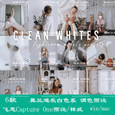 飞思Capture One预设莫兰迪灰白色系风格调色预设样式
