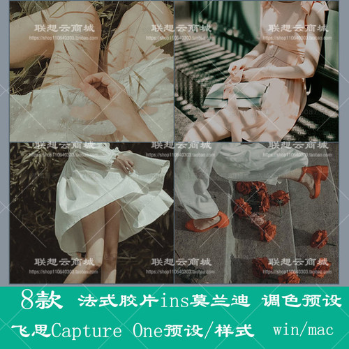 飞思Capture One预设法式胶片人像莫兰迪调人像静物调
