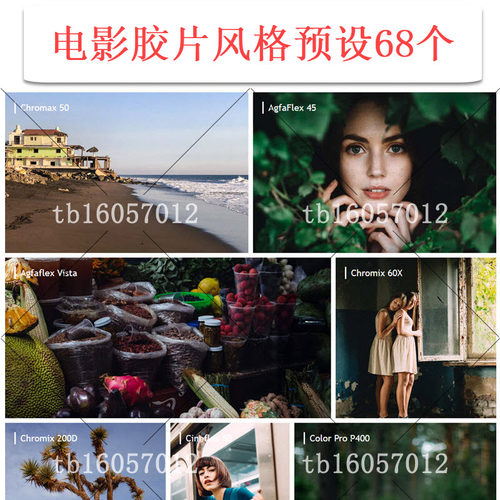 飞思Capture One预设Filmist电影复古胶片样式