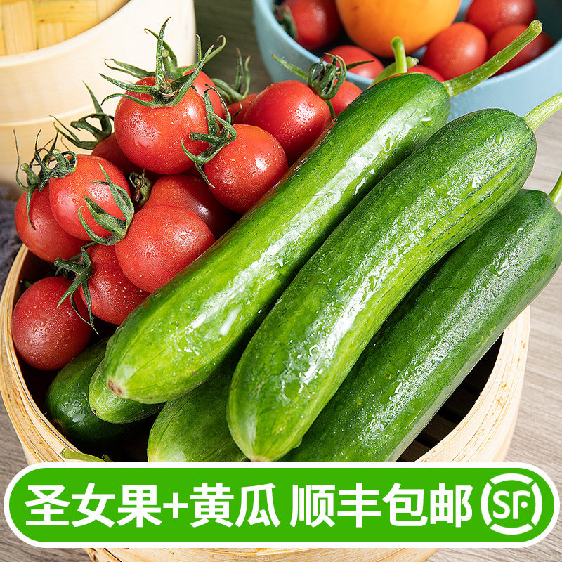 水果黄瓜新鲜圣女果5斤千禧小番茄西红柿新鲜生吃自然熟当季蔬菜|msdalam kategori daging perikanan/Buah-buahan segar dan sayur-sayuran/dimasak, sayur-sayuran segar/Vegetable Products, sayur-sayuran segar, lain - dari Buy2taobao.com untuk memberikan perkhidmatan ejen Taobao profesional membeli