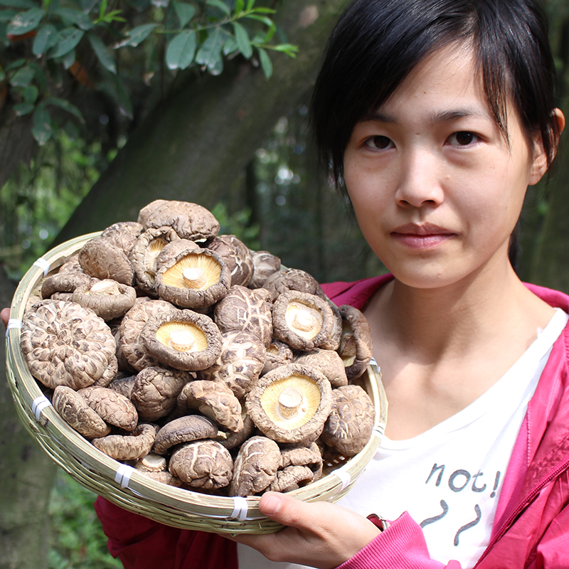 野生250g椴木花菇，肉厚鲜香