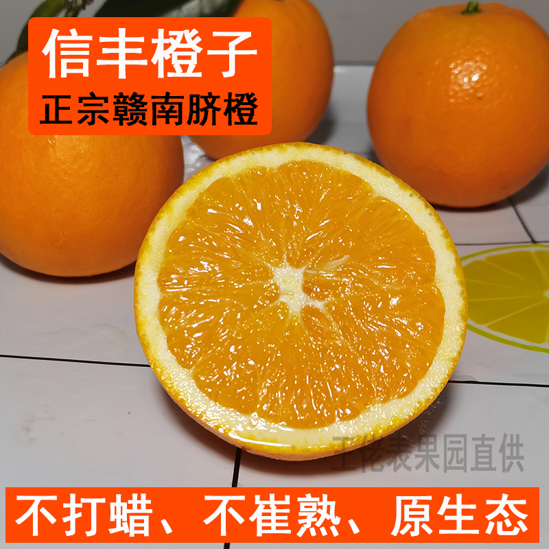 赣南脐橙江西信丰甜橙子自然成熟