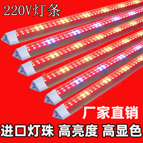 鑫彬达220V防水超亮LED灯管